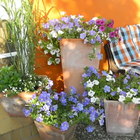 ゲストハウス Aqua Marina ヘルゴラント