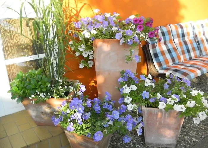 Gasthuis Aqua Marina Heligoland